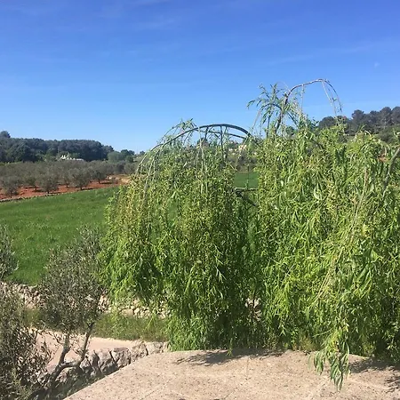 Trullo Cicerone * צ'יסטרנינו